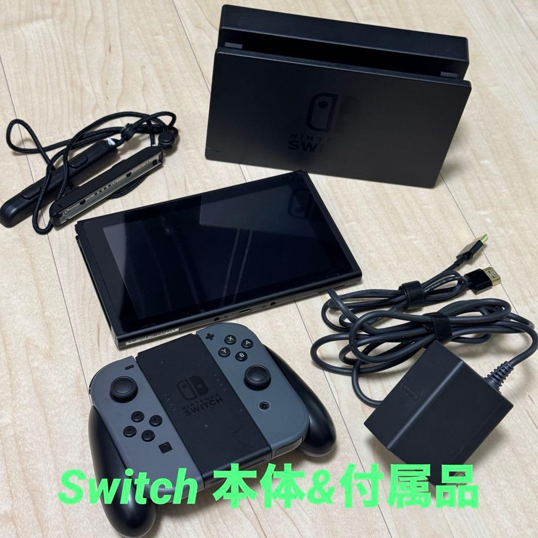 Nintendo Switch グレー 本体と付属品