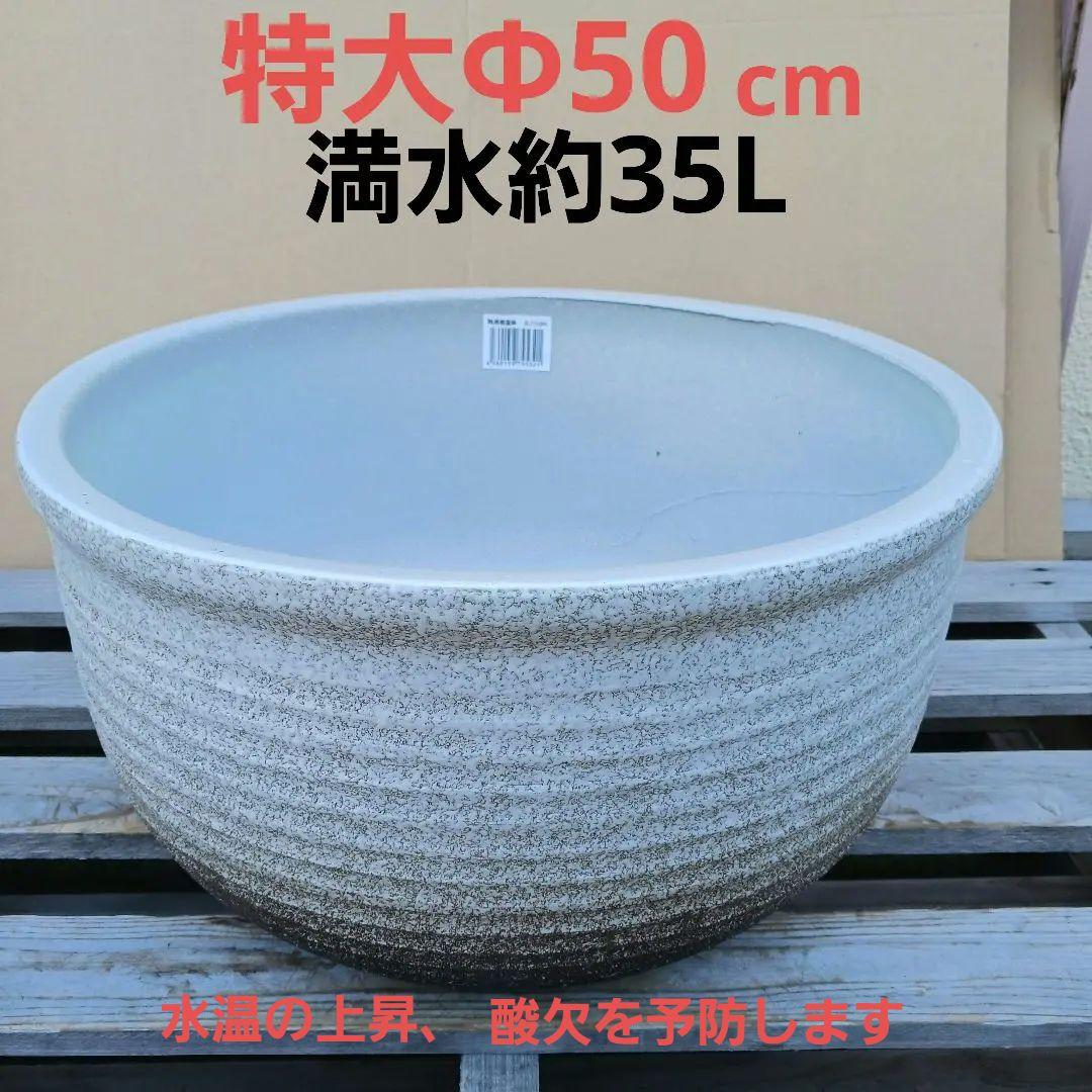 新品　∅50　陶器　睡蓮鉢　特大　メダカ鉢　白　ホワイト　ルーバー　高級　LWH