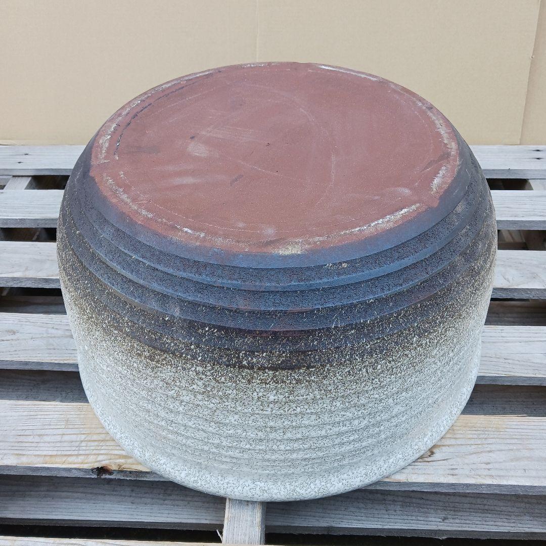 新品　∅50　陶器　睡蓮鉢　特大　メダカ鉢　白　ホワイト　ルーバー　高級　LWH