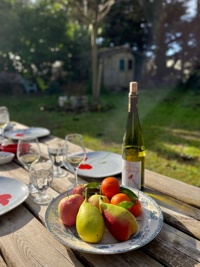 ◆フランスアンティーク｜サングミンヌ30cm大皿プレート花ボタニカル青緑陶器睡蓮