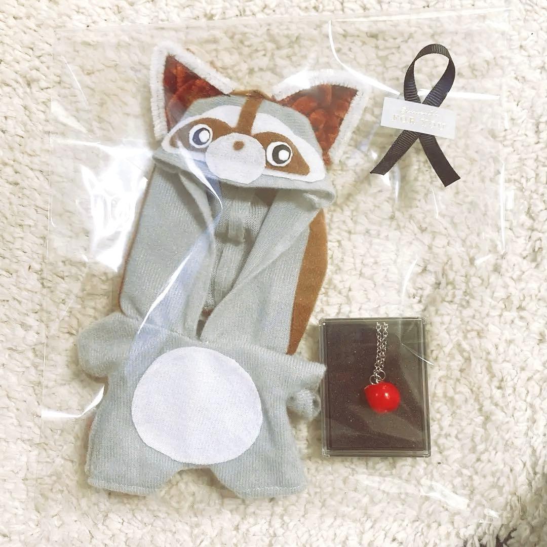 【オーダー受付用】　アライグマのぬい服　ちびぬい用