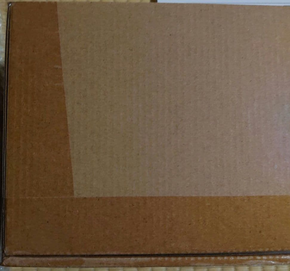 仮面ライダーBLACK SUN テレビパワー 変身ベルトキングストーン　うぶごえ