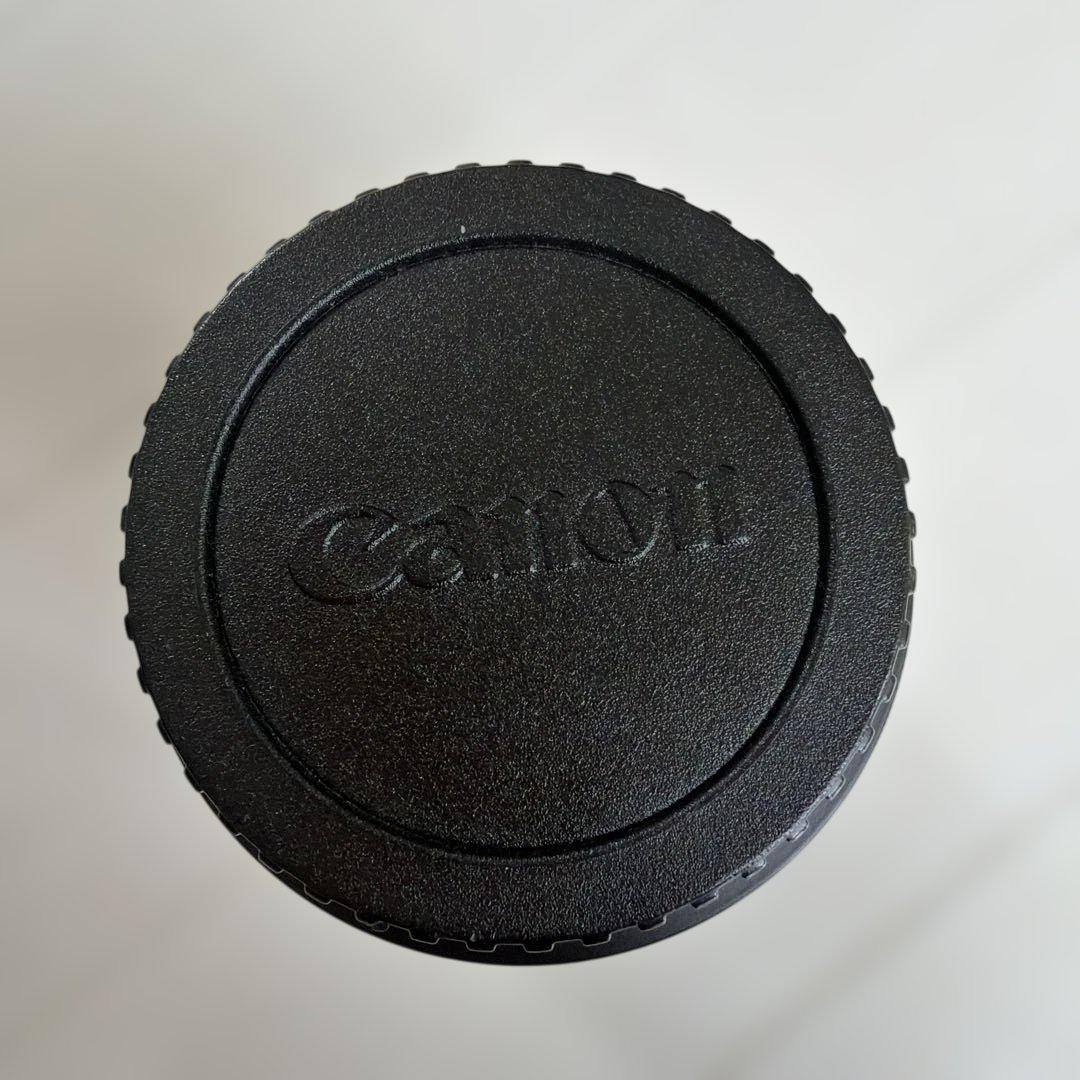 Canon EF-S 10-22mm f/3.5-4.5 ズームレンズ