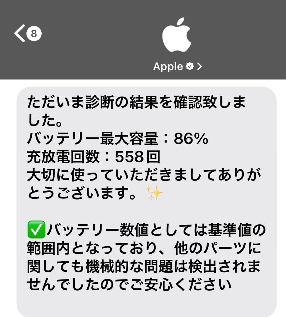 iPad本体 iPad mini 6 256GB Wi-Fi+Cellular Apple