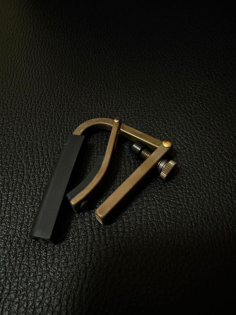 エレアコ アコギFender Newporter Player シャンパンカラー