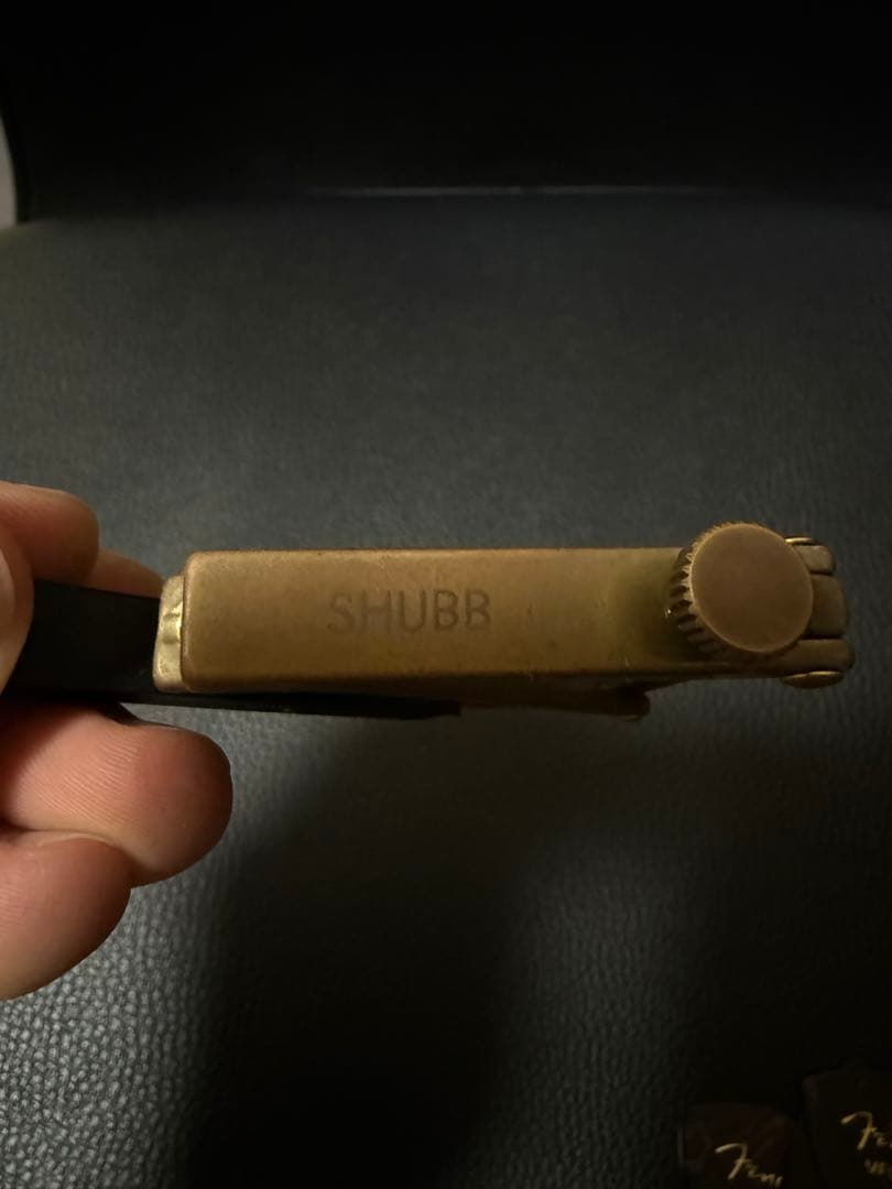 エレアコ アコギFender Newporter Player シャンパンカラー