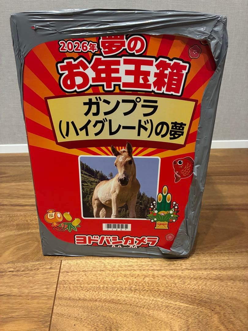 ぷ*く様 ヨドバシカメラ お年玉箱 2026 ガンプラ ハイグレードの夢 HG