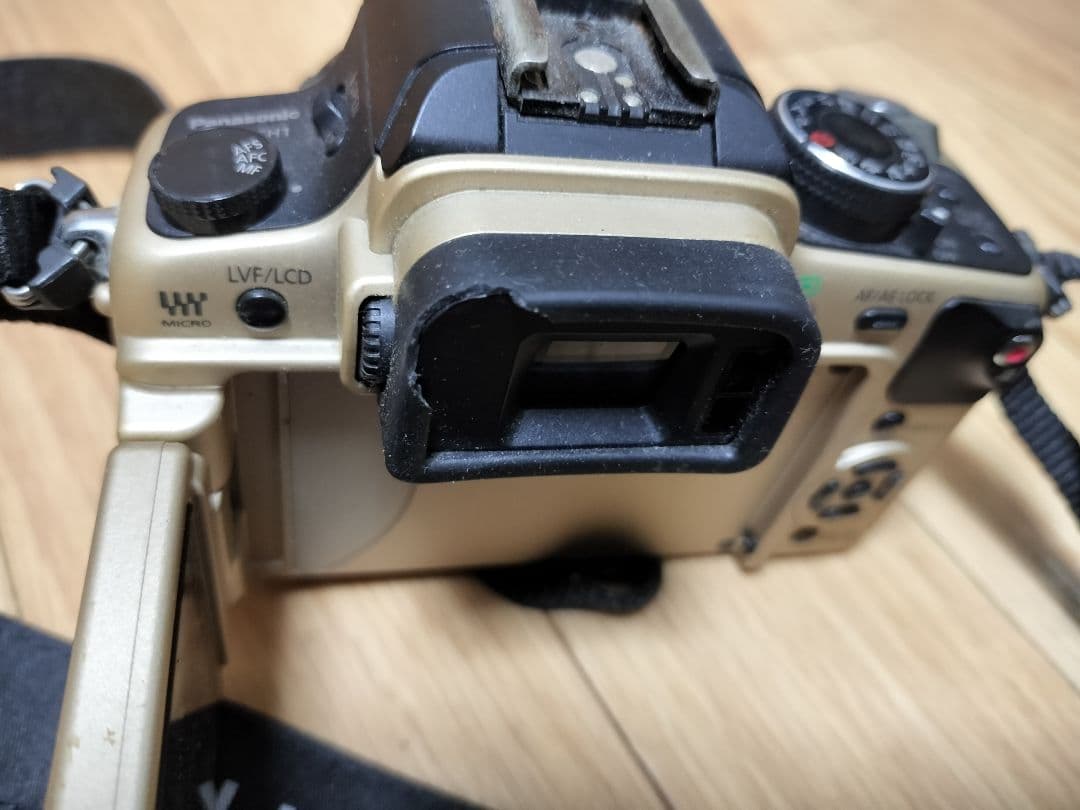 Panasonic ミラーレス一眼DMC-GH1 標準レンズ付属