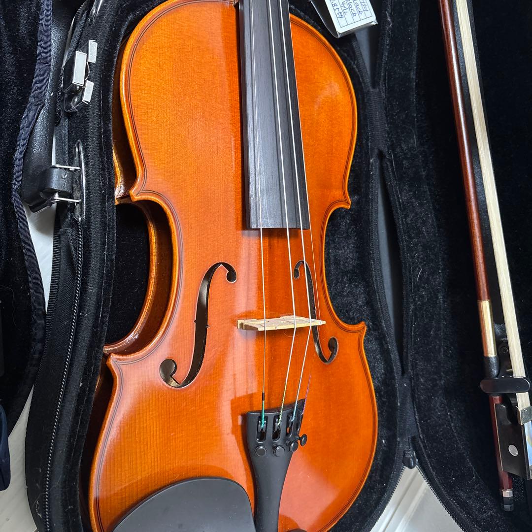 イーストマン CA-7301 4/4サイズ バイオリン