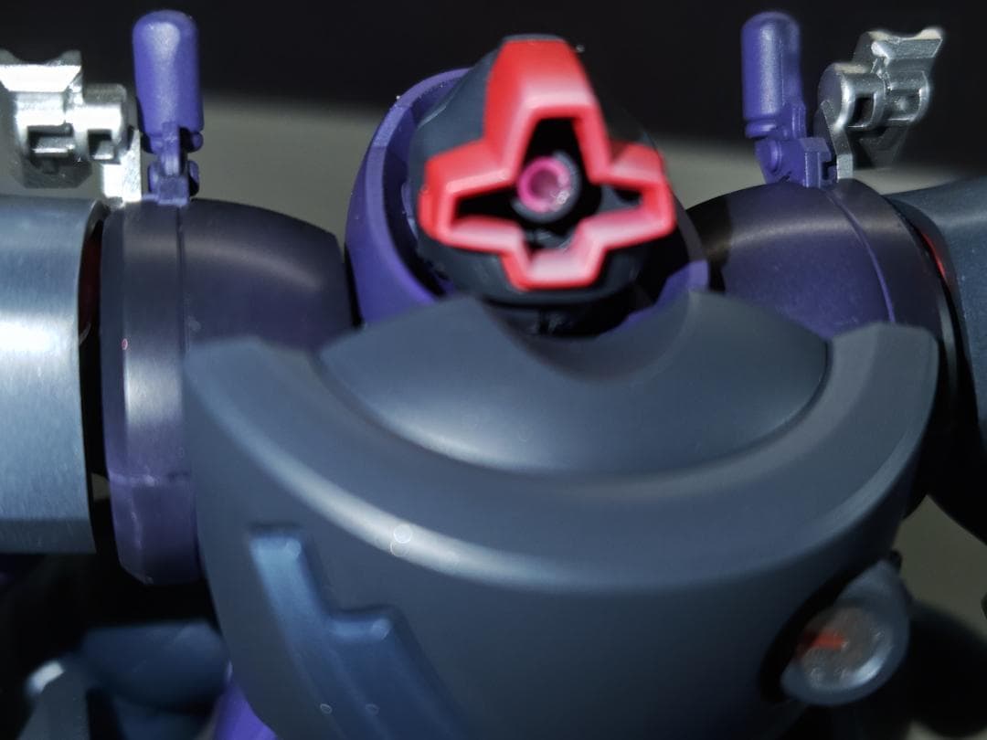 マ*サ様 HG-リックドム（GQ）ガイア機/オルテガ機全塗装完成品2体セット