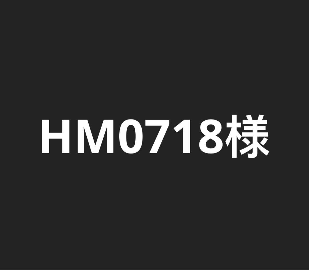 HM0718様　　五老星