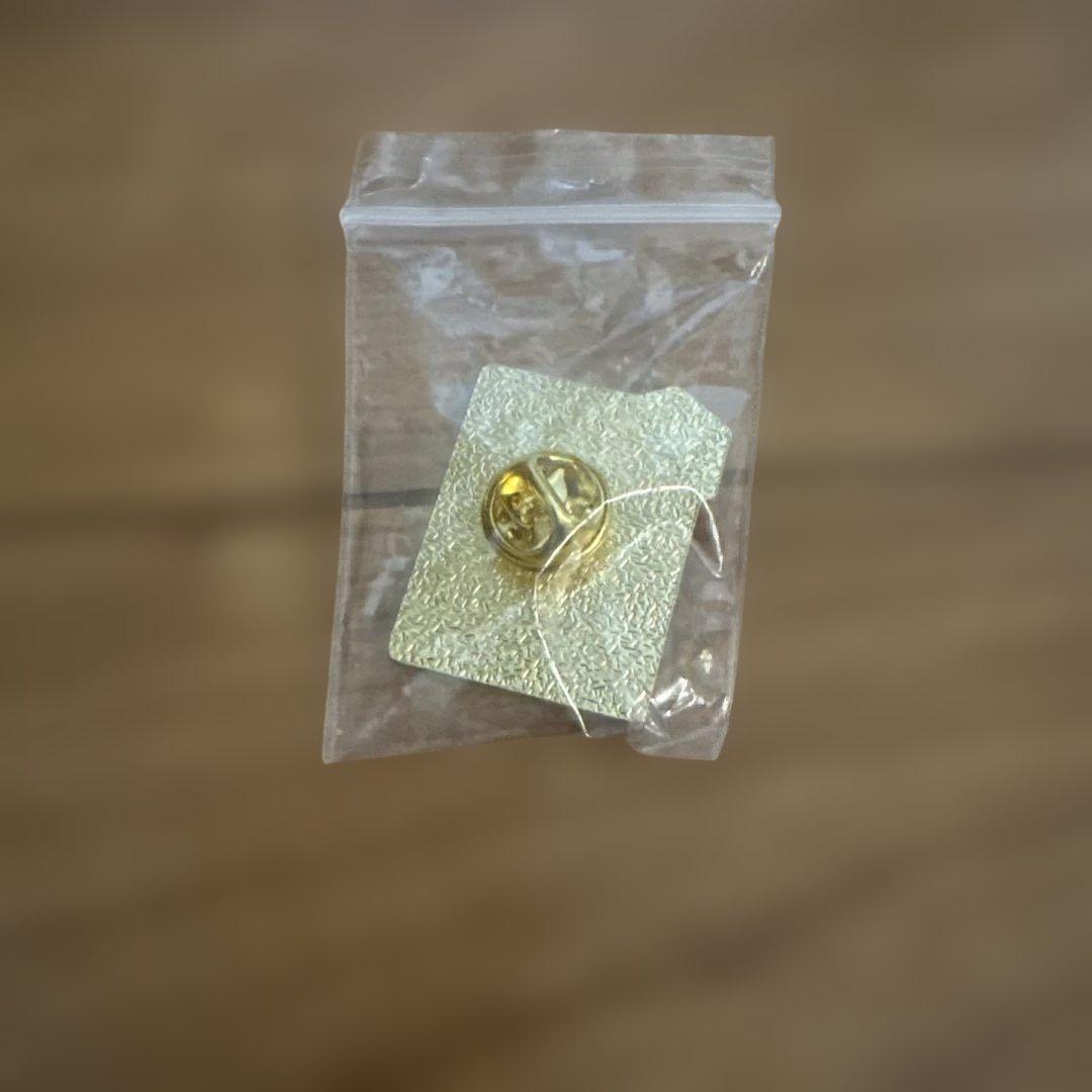 R*0様 MGM 大阪万博2025 ピン USA PAVILION