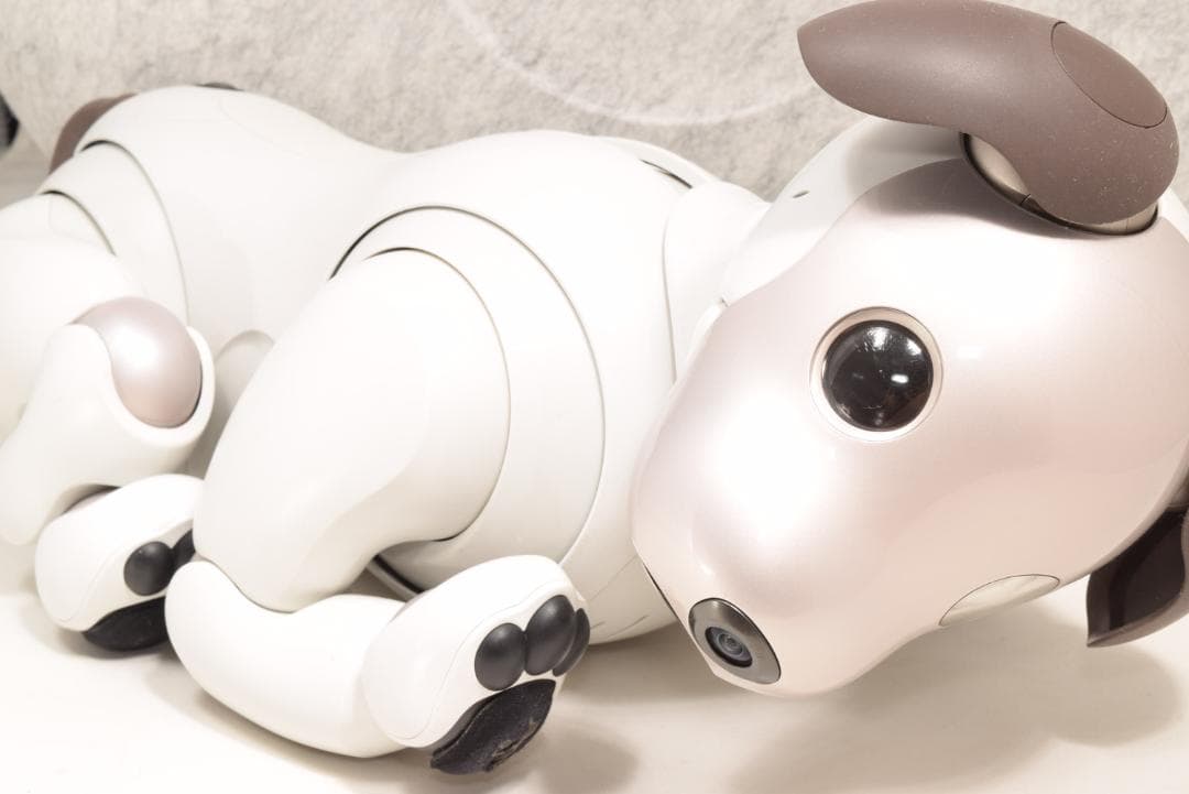 ドック診断 A判定 限定首輪3色 ソニー SONY アイボ ERS-1000