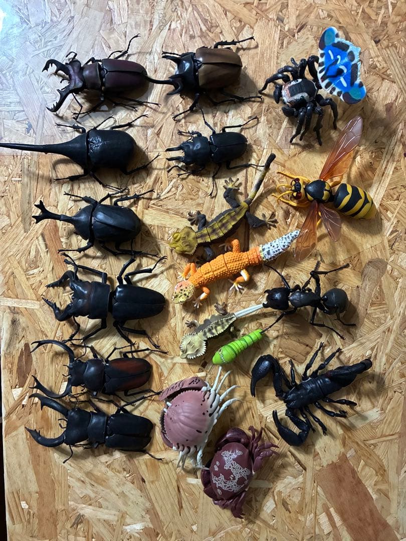 いきもの大図鑑　セット販売