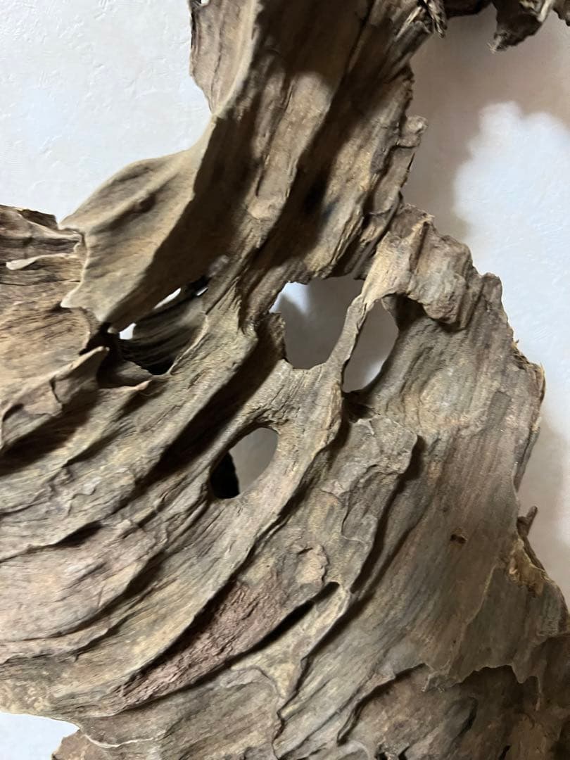 (XM-122)流木　マシンガンウッド　アクアリウム　ブランチウッド　沈水確認済