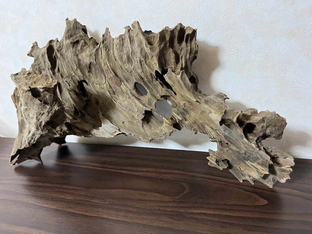 (XM-122)流木　マシンガンウッド　アクアリウム　ブランチウッド　沈水確認済