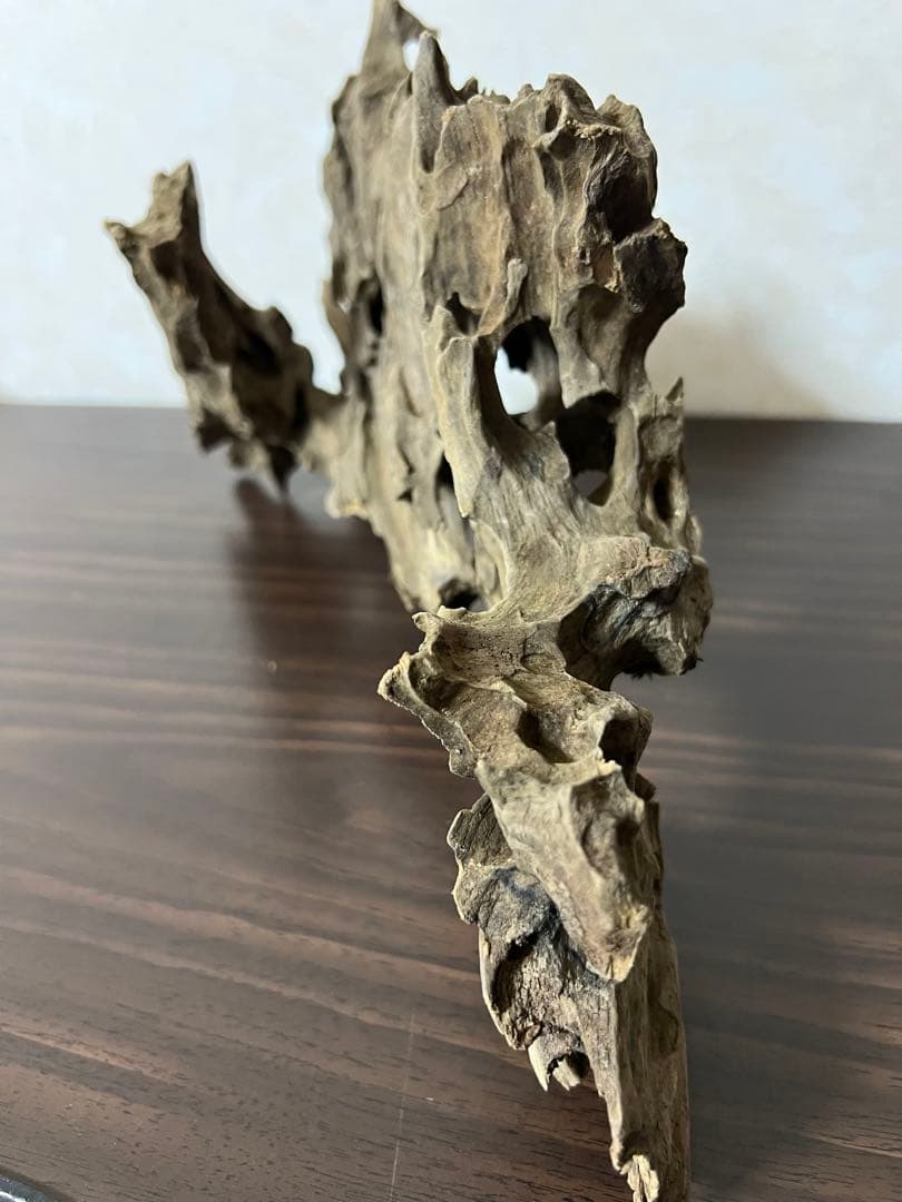 (XM-122)流木　マシンガンウッド　アクアリウム　ブランチウッド　沈水確認済