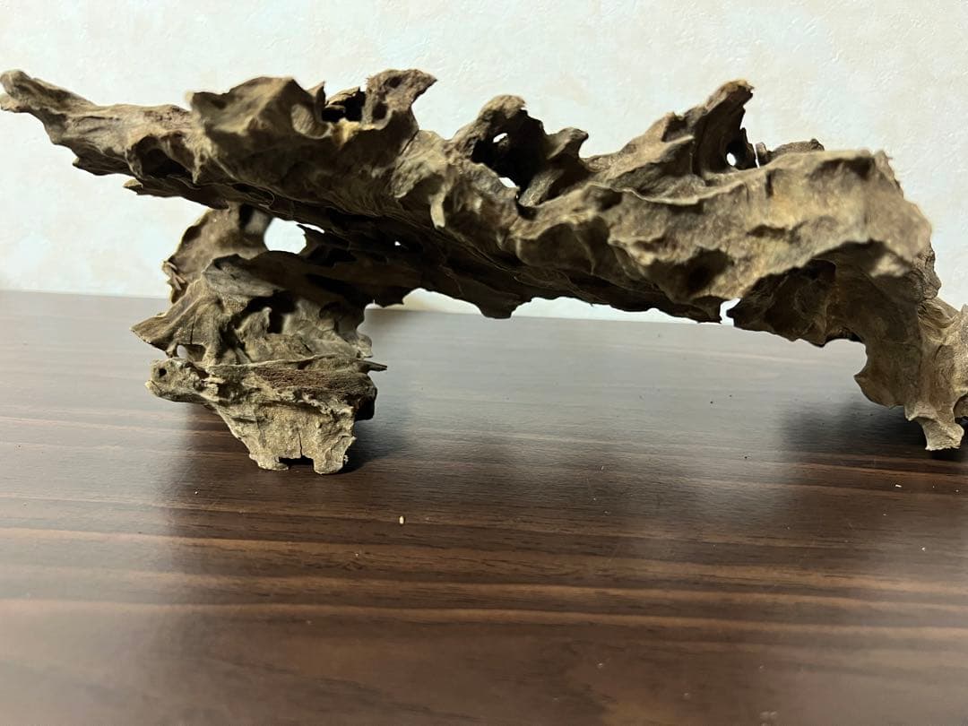 (XM-122)流木　マシンガンウッド　アクアリウム　ブランチウッド　沈水確認済