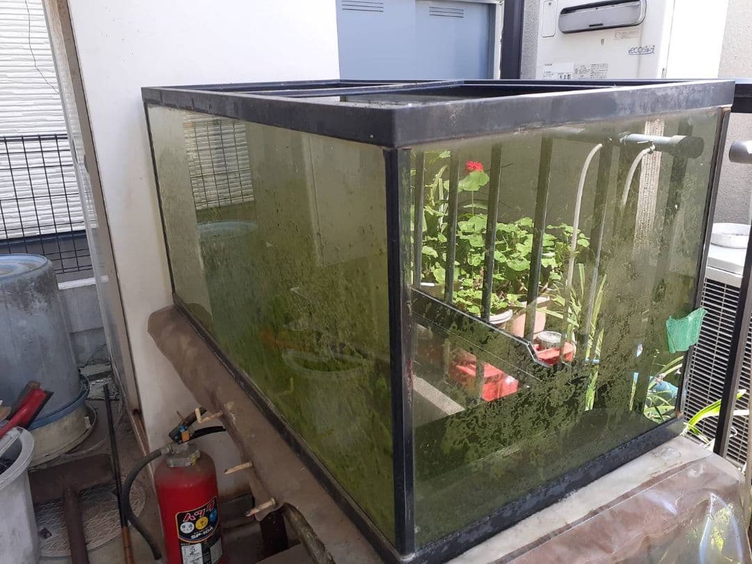 ♡FerrisuOTA雑貨店♡専用　水槽