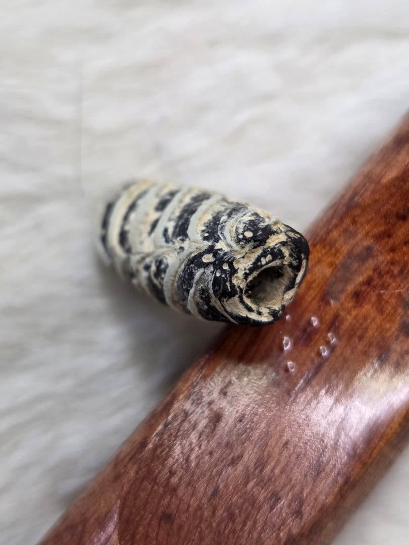 020蜻蛉玉　古いフェザー　黒と白のストライプ模様　！