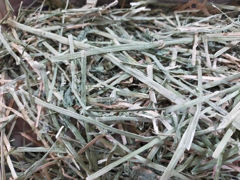 US産 チモシー 100kg ２番刈 ソフトスーパープレミアム