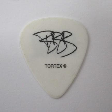 リンキンパーク LINKIN PARK Brad Delson 2007 ピック