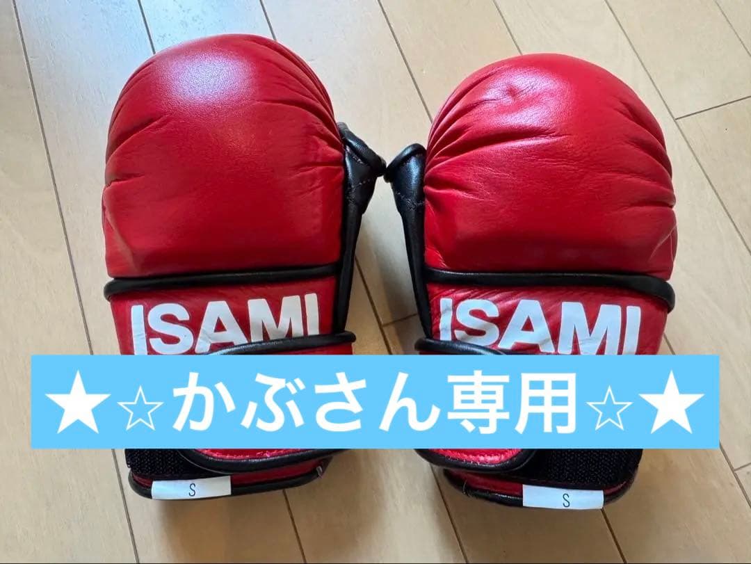 ISAMI ボクシング パウンドグローブ赤/S 収納袋付き