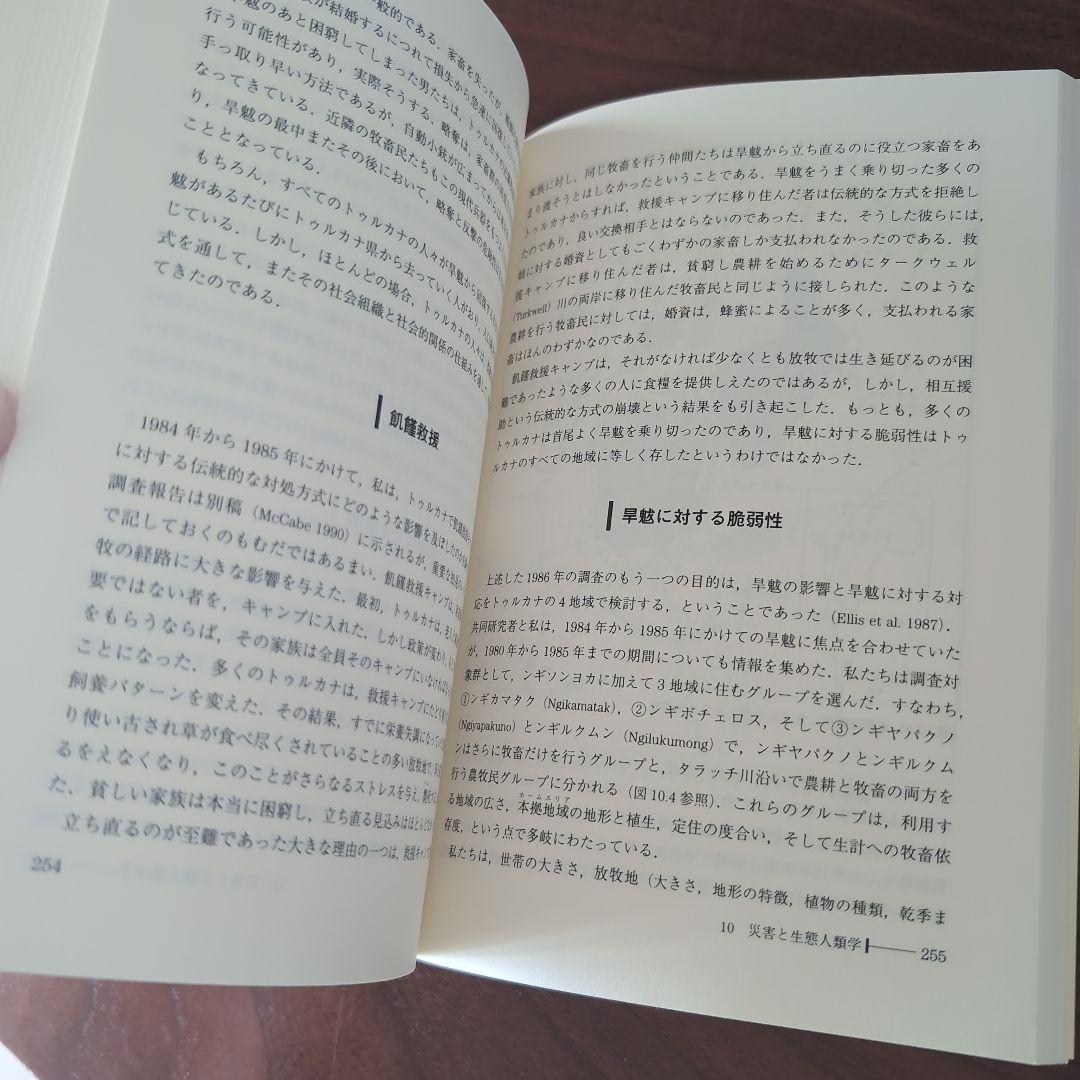 災害の人類学 : カタストロフィと文化