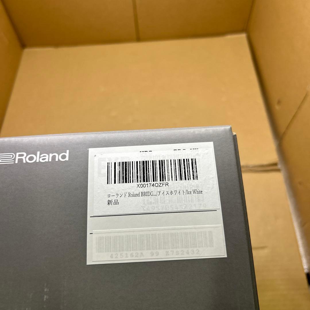 ジャンク　ローランド Roland BRIDGE CAST