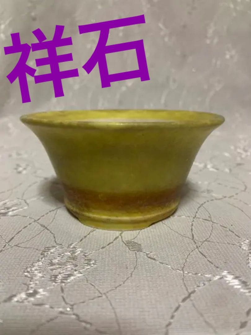 祥石　盆栽鉢