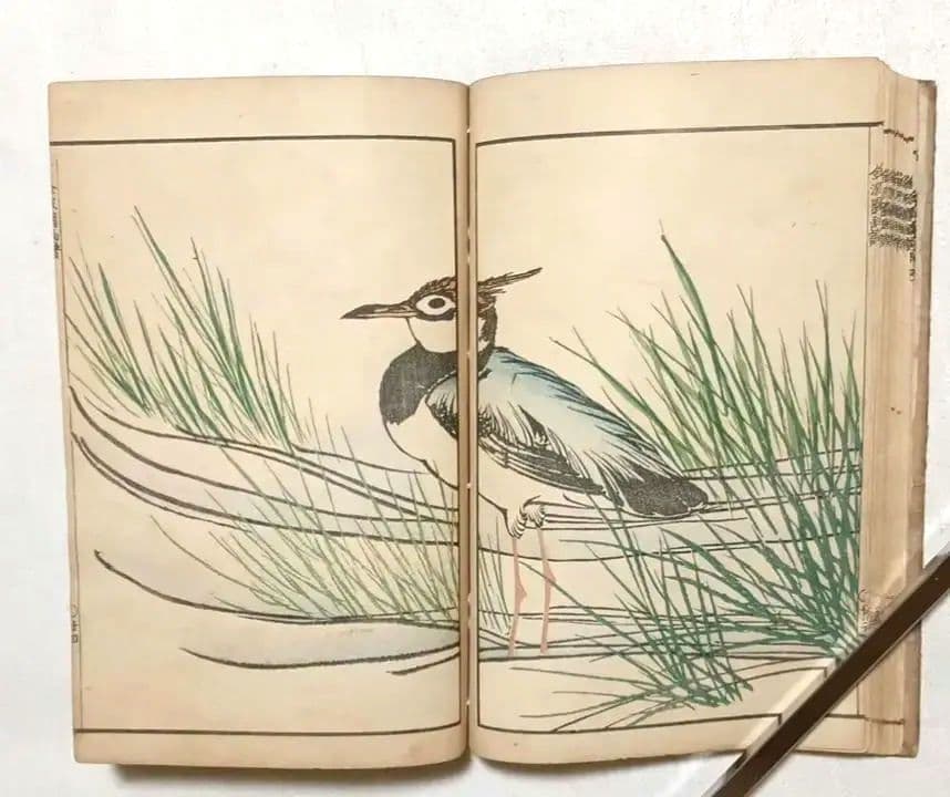 金波園画譜No.2（色刷り木版画本) 河村文鳳画、文化8年出版