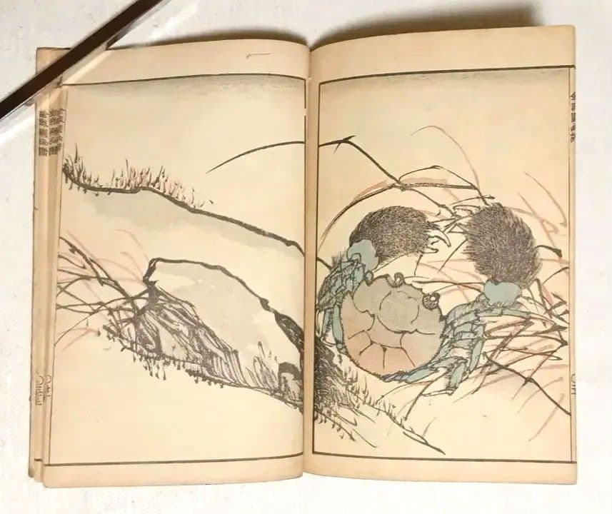 金波園画譜No.2（色刷り木版画本) 河村文鳳画、文化8年出版