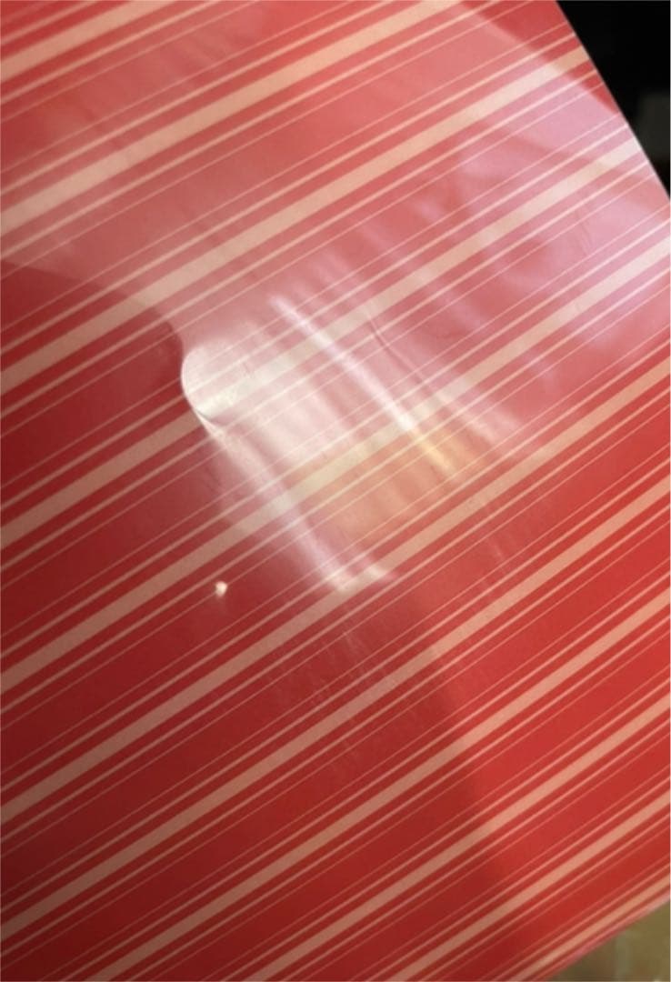 吸血鬼すぐ死ぬ　特典　セット