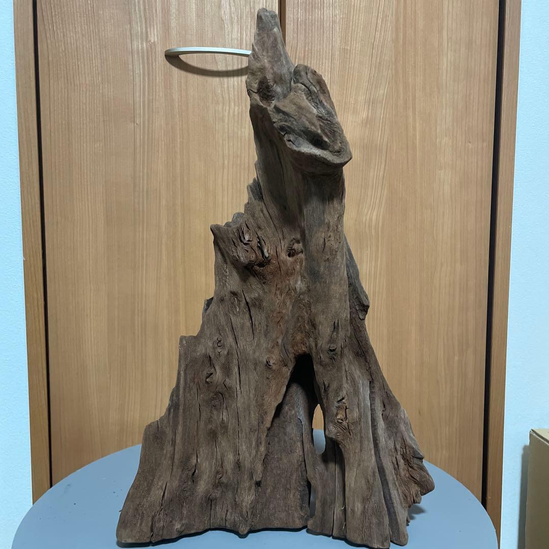 一点物 大型流木 沈水確認済み アク抜き済み［約50cm］アクアリウム・爬虫類用