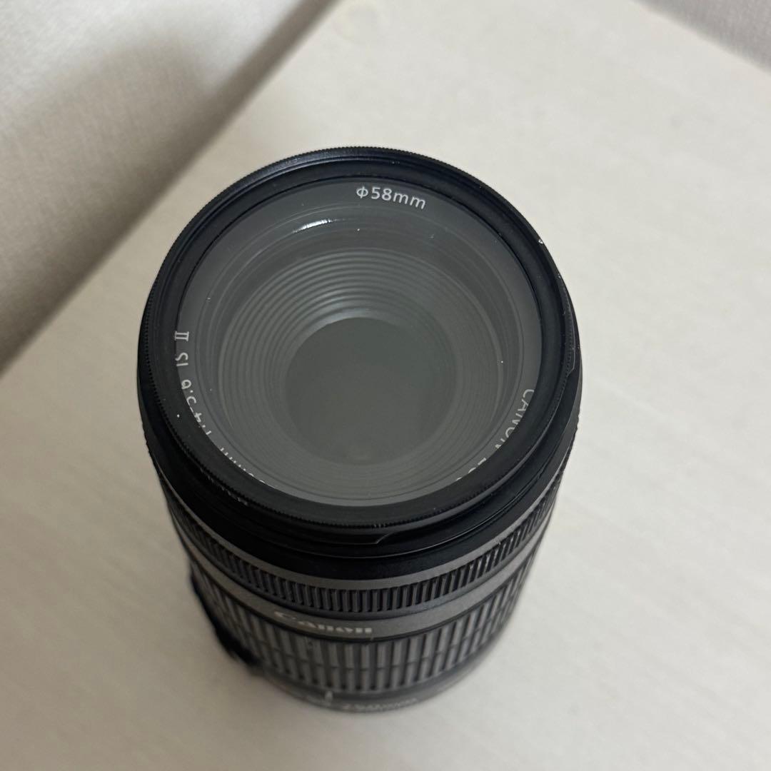 Canon EFS 55-250mm ズームレンズ