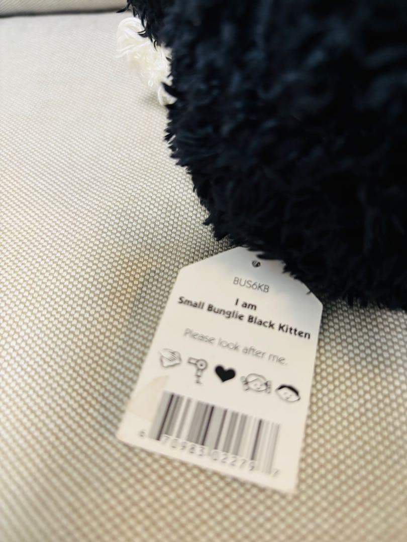  Bunglie Black Kitten S ジェリーキャット