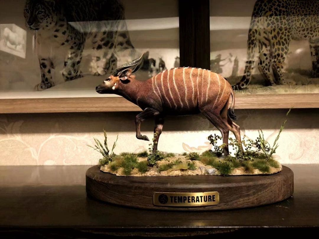 ※※オーダー商品です！ハンドメイド　ボンゴ