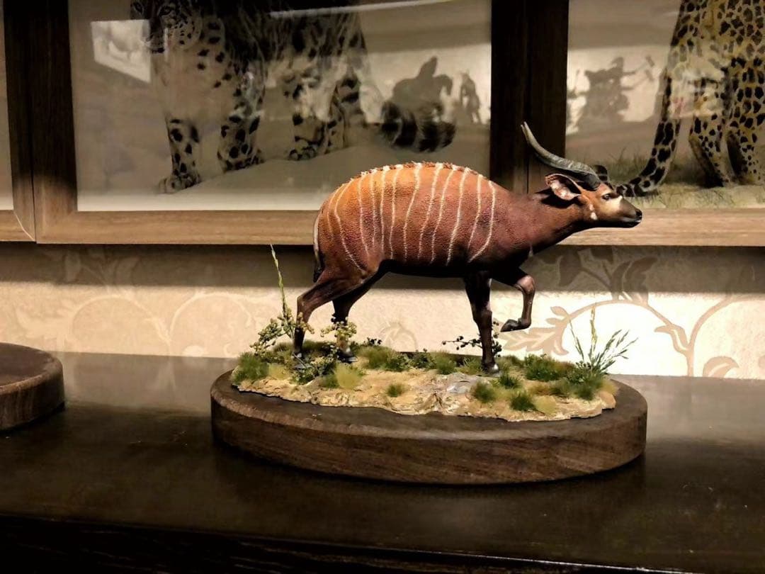 ※※オーダー商品です！ハンドメイド　ボンゴ