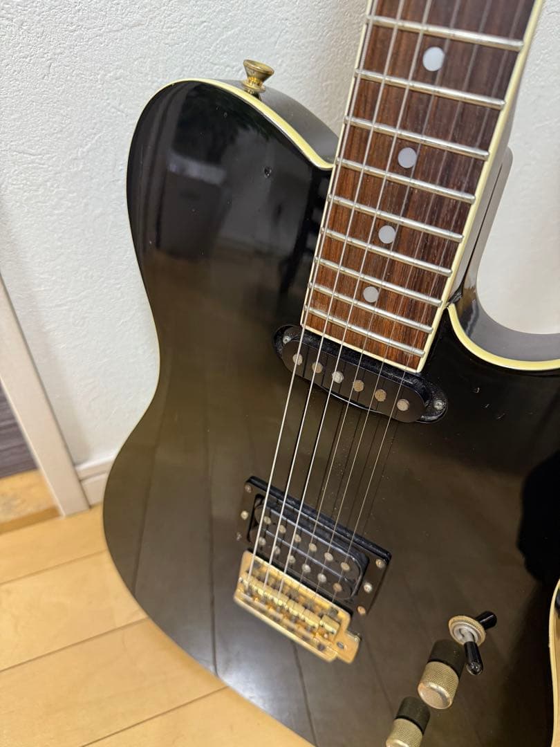 FERNANDES フェルナンデス　TEJ55G 布袋