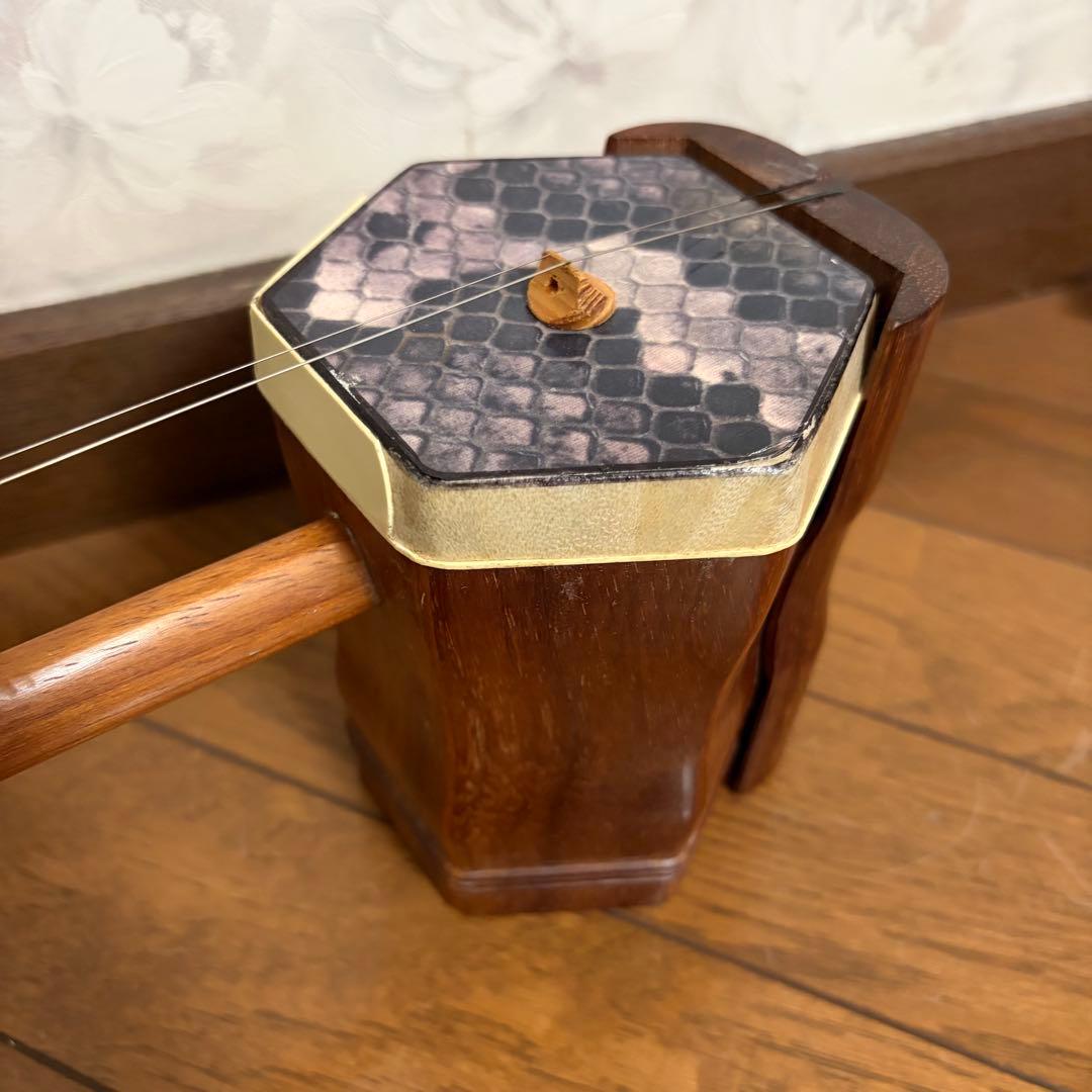 弦楽器 ニ胡 NK170 ケース付き