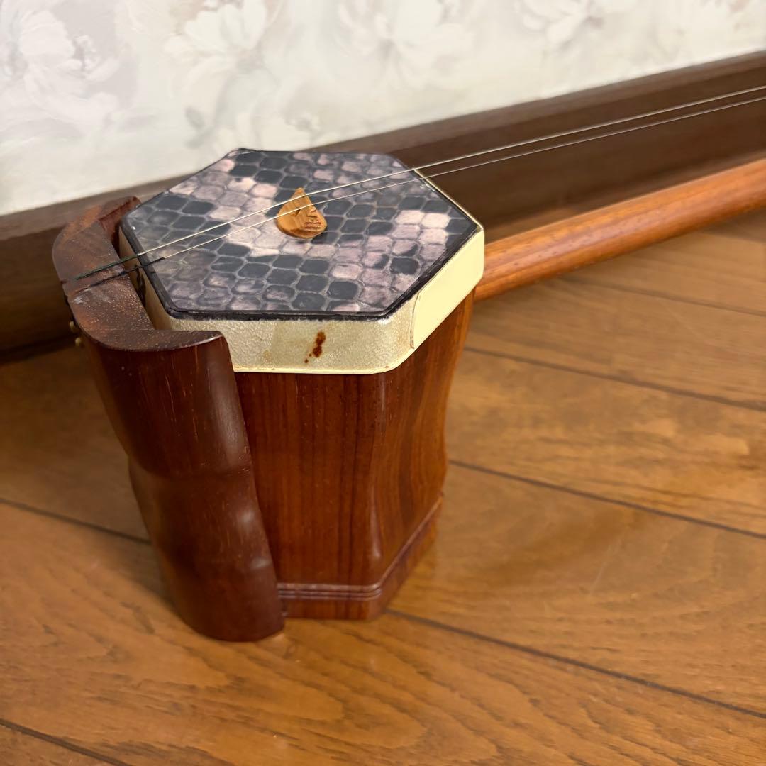 弦楽器 ニ胡 NK170 ケース付き