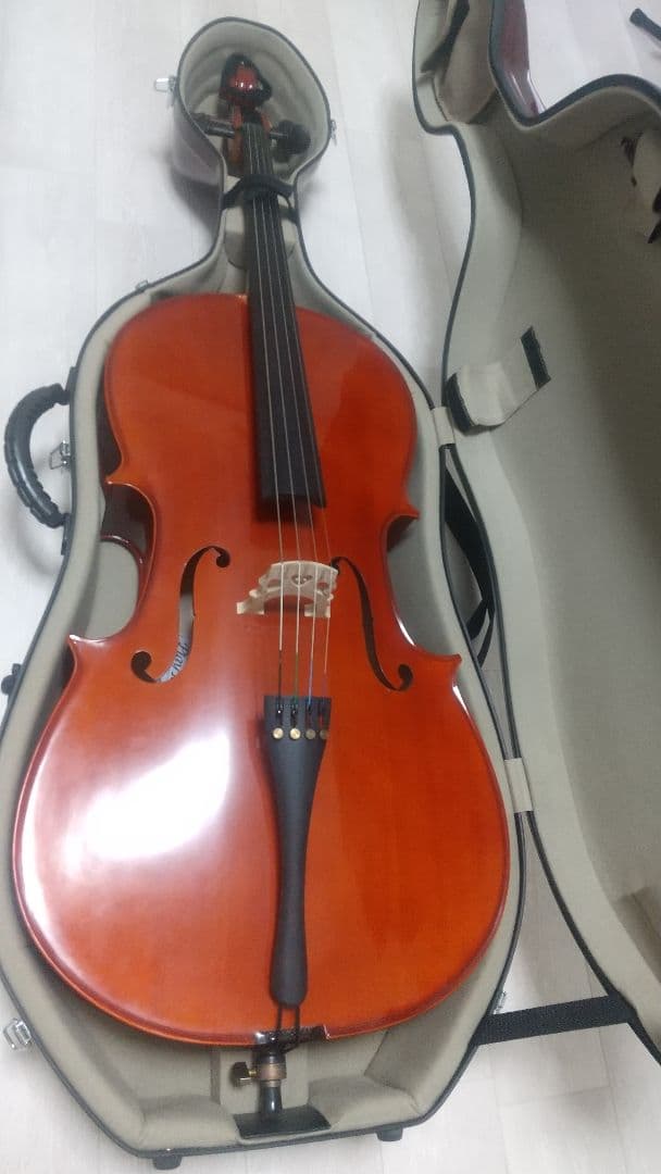 Playtech プレイテック チェロ 4/4 ハードケース付き