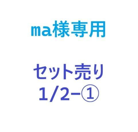 BEAMS DESIGN AIRBUGGY DOME3(限定品)ラージサイズ中古