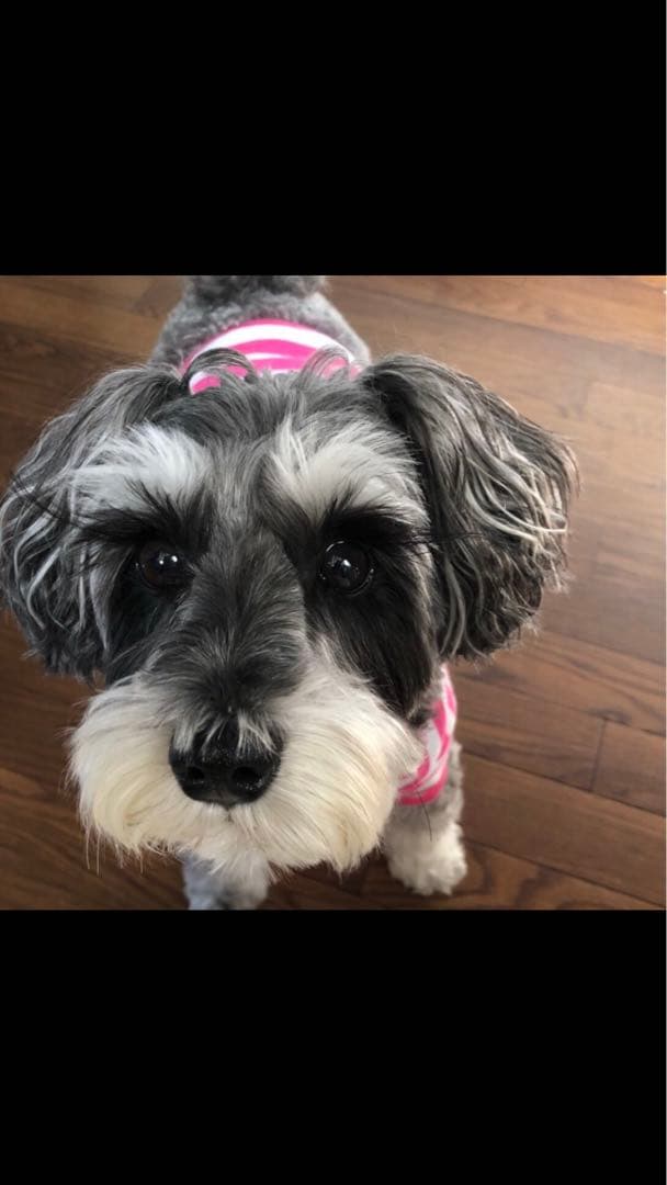 miniさま  確認用　その③