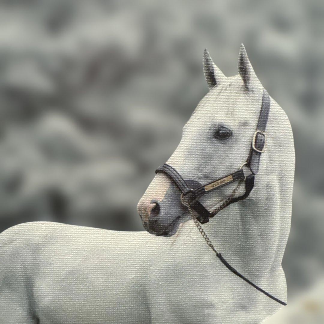希少♡ゴールドシップ　キャンバスボード　競馬/午年