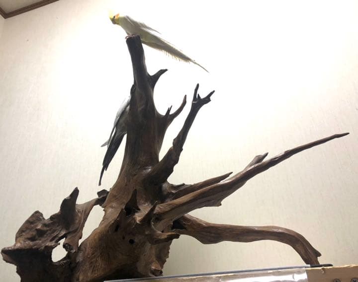 【No11】　置き物　小鳥用品　とまり木　バードアスレチック　オブジェ