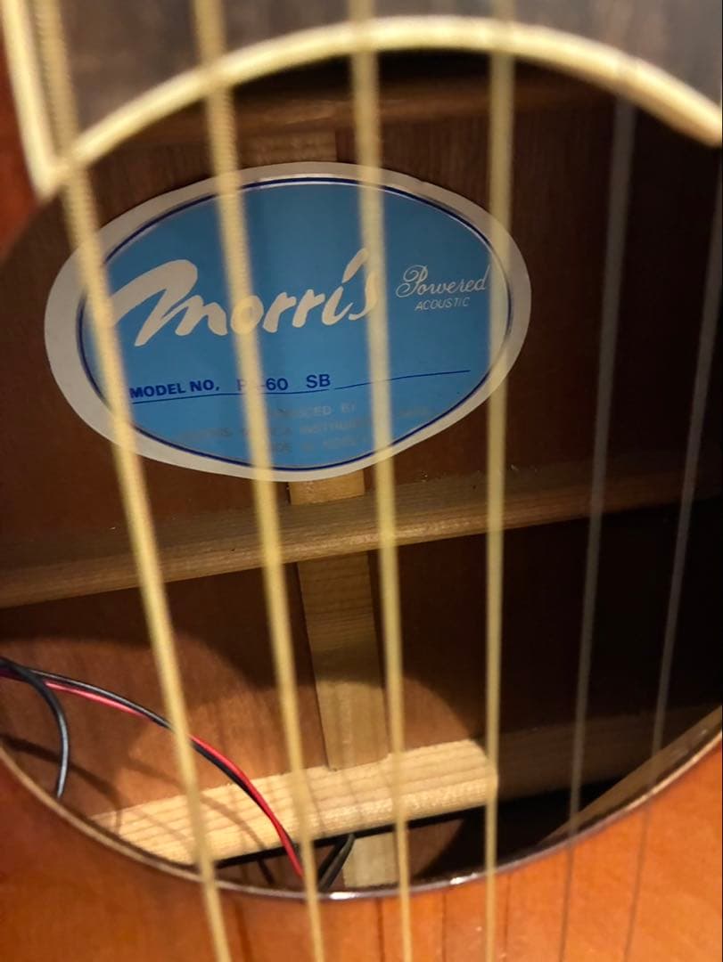 Morris PA-60 アコースティックギター