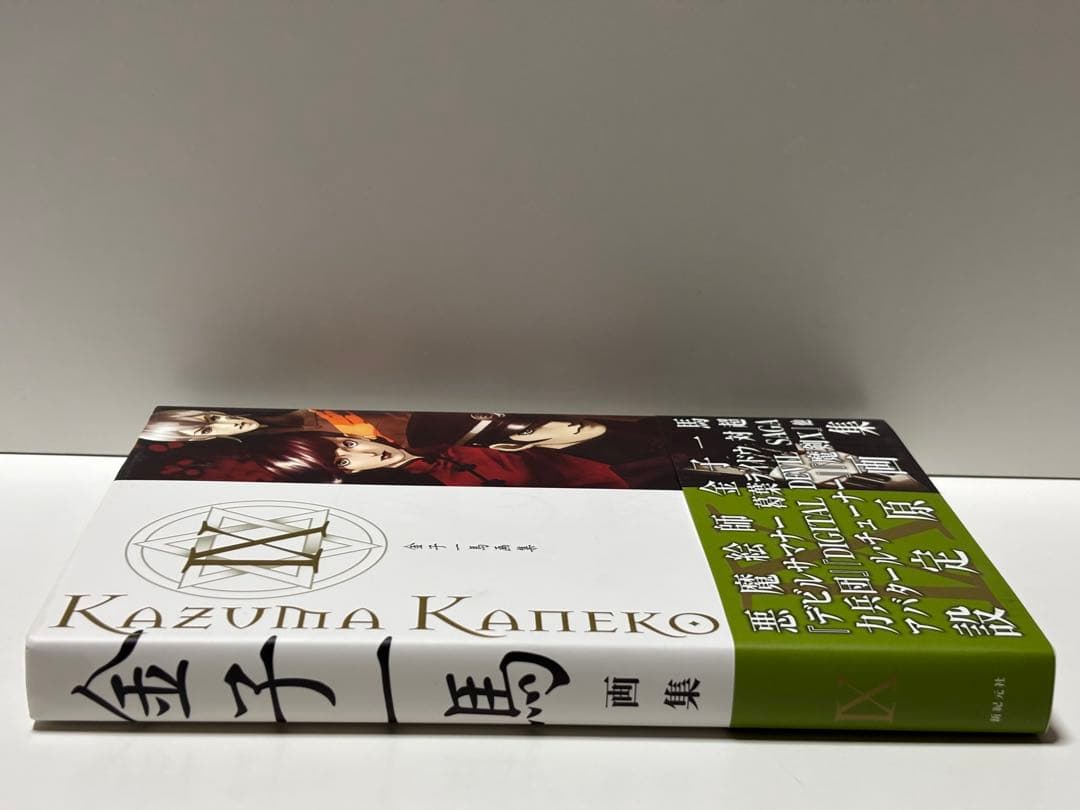 金子一馬画集 = KAZUMA KANEKO WORKS 9