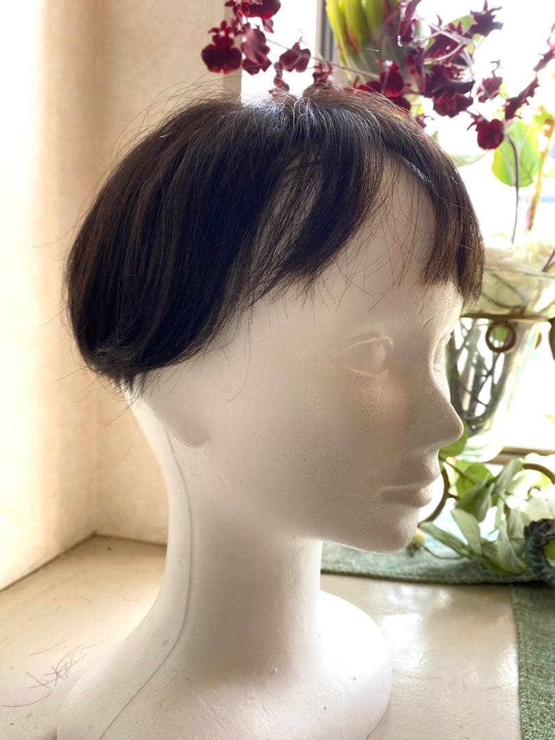 ジュリアオージェ(アートネーチャー)部分ウィッグ ショートボブ前髪あり