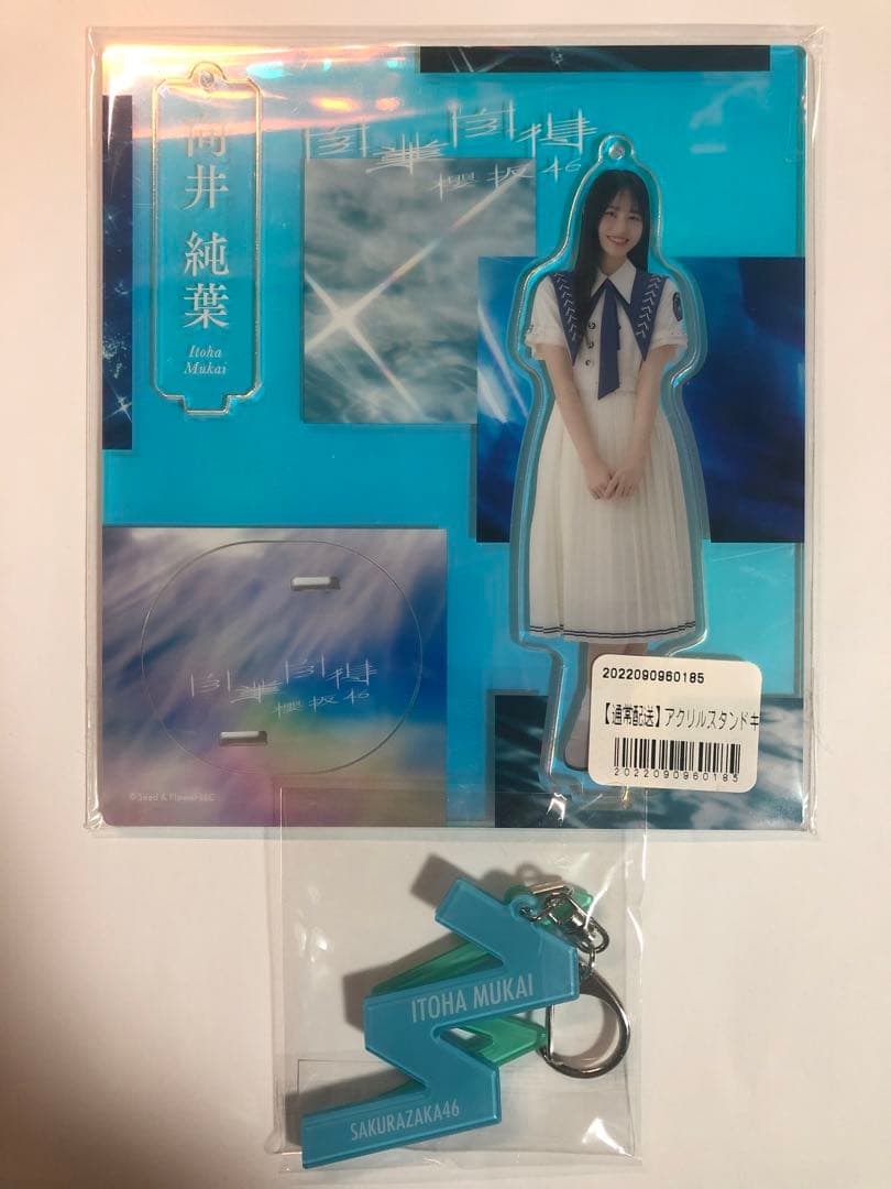 櫻坂46 向井純葉 生写真 直筆サイン 三期生ブックレット衣装 ヒキ(おまけ付)